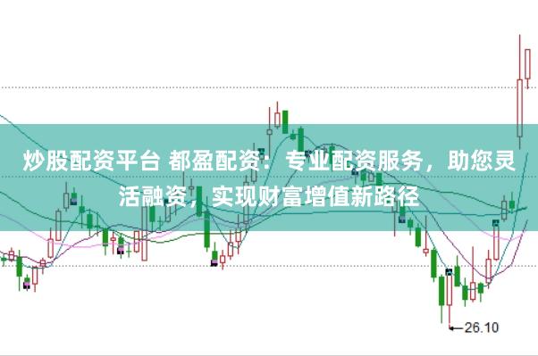 炒股配资平台 都盈配资：专业配资服务，助您灵活融资，实现财富增值新路径