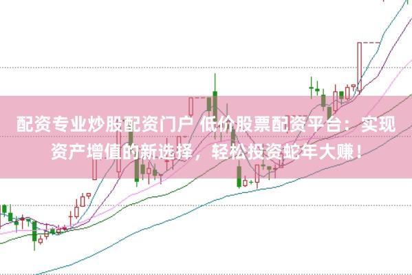 配资专业炒股配资门户 低价股票配资平台：实现资产增值的新选择，轻松投资蛇年大赚！