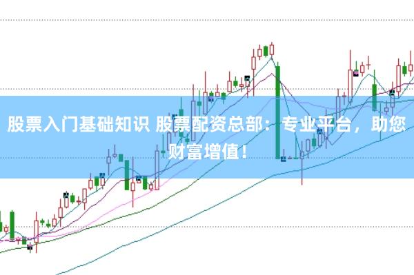 股票入门基础知识 股票配资总部：专业平台，助您财富增值！
