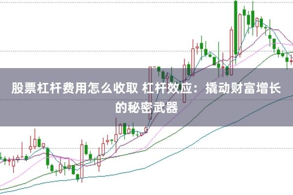 股票杠杆费用怎么收取 杠杆效应：撬动财富增长的秘密武器
