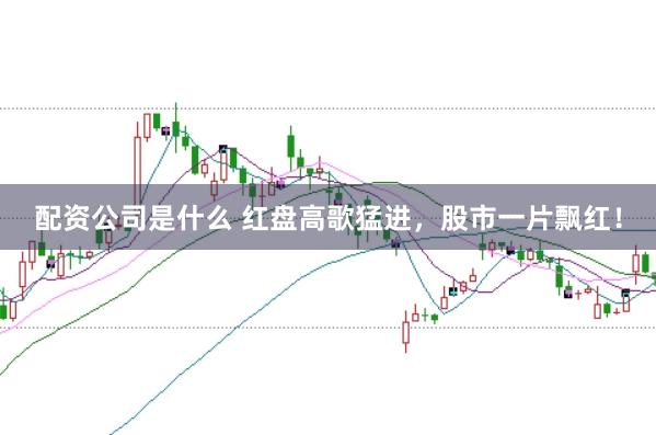 配资公司是什么 红盘高歌猛进，股市一片飘红！