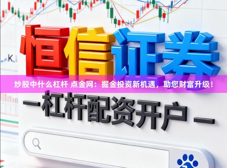 炒股中什么杠杆 点金网：掘金投资新机遇，助您财富升级！