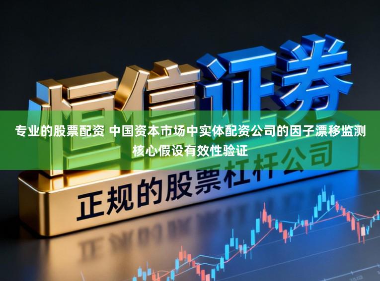 专业的股票配资 中国资本市场中实体配资公司的因子漂移监测核心假设有效性验证