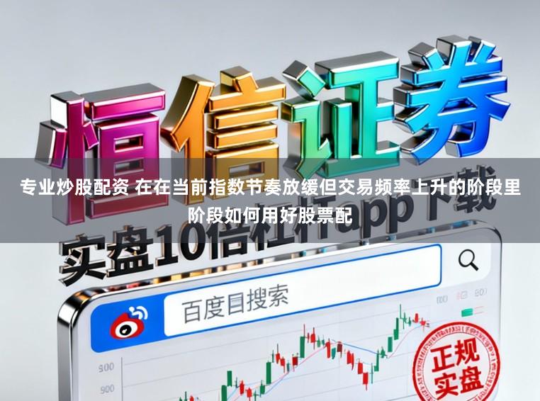 专业炒股配资 在在当前指数节奏放缓但交易频率上升的阶段里阶段如何用好股票配