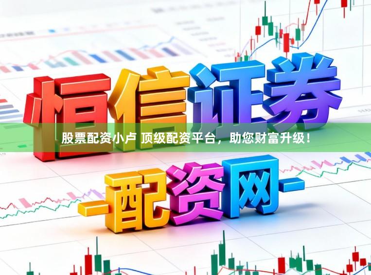 股票配资小卢 顶级配资平台，助您财富升级！